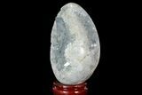 Crystal Filled Celestine (Celestite) Egg Geode - Madagascar #98776-1